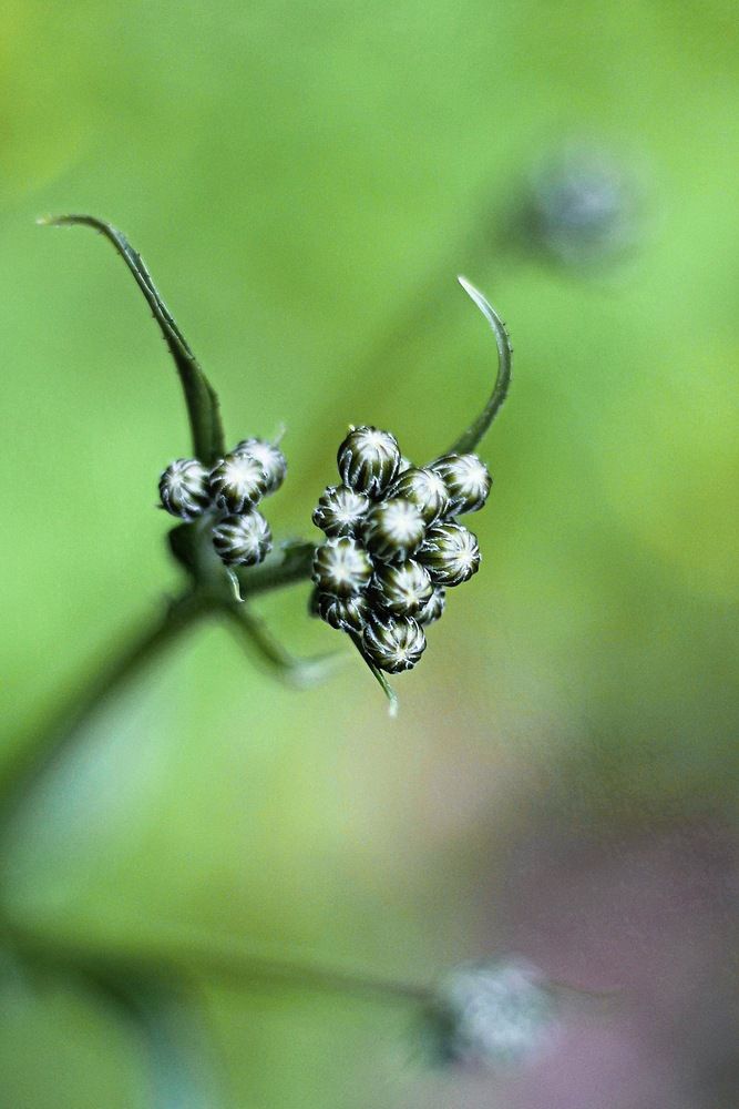 Photograph by Halyna Khomyk