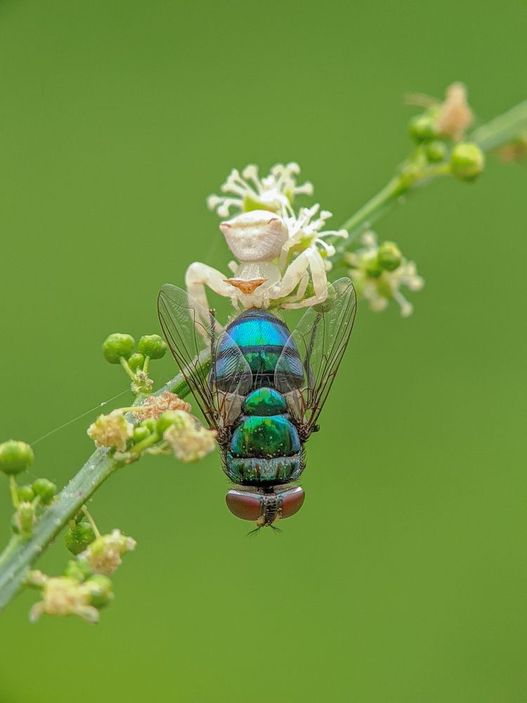 Photograph by Akash Pani