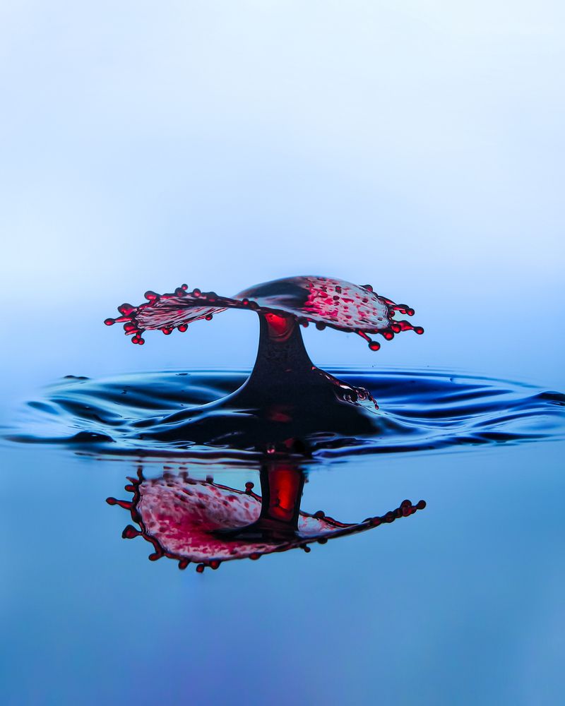The Crimson Umbrella