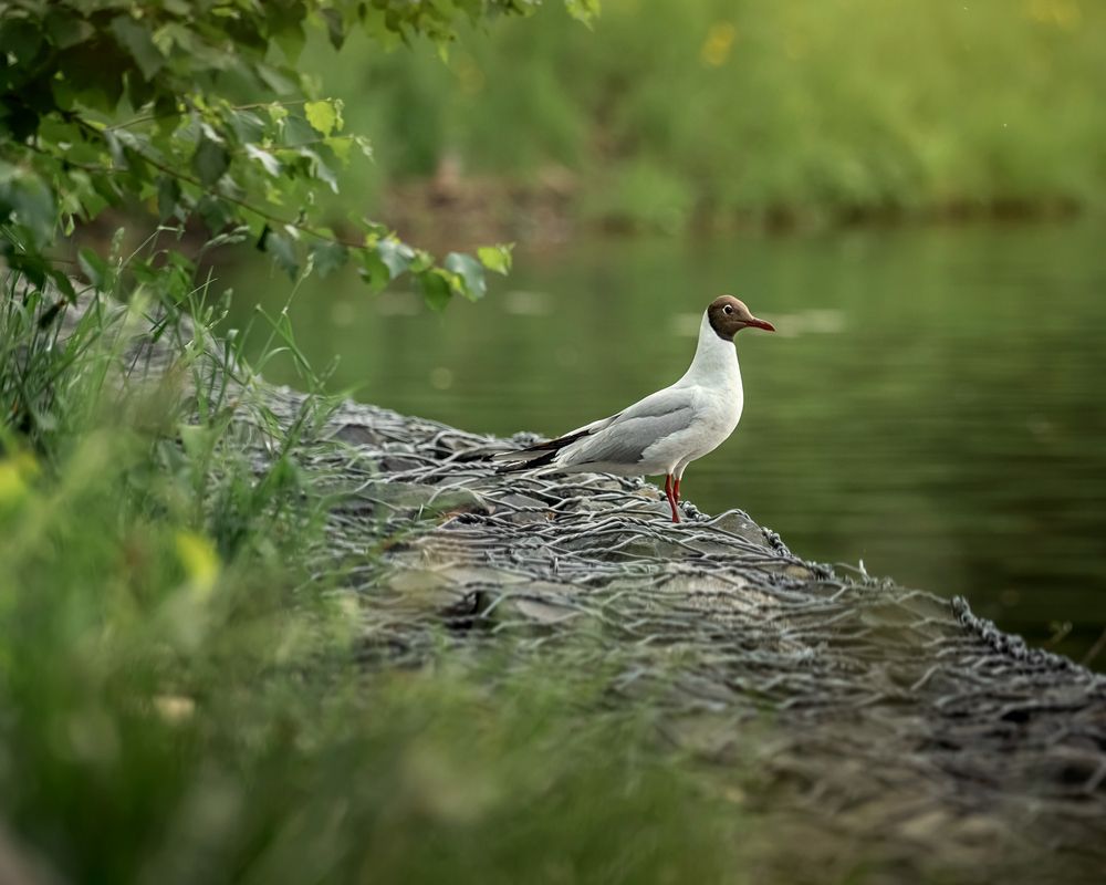 Photograph by Людмила Завьялова