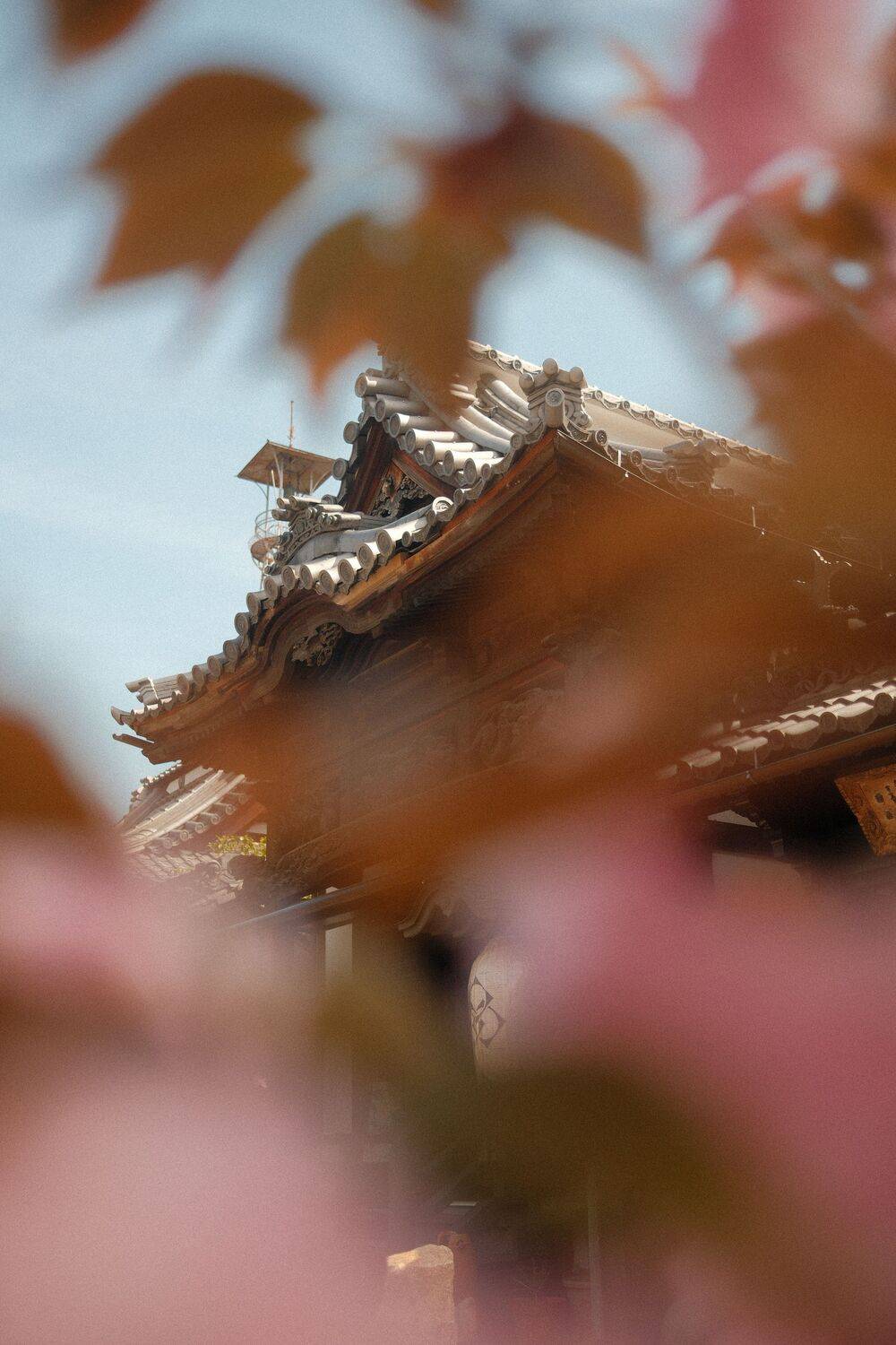 Nagano Temple, Japan