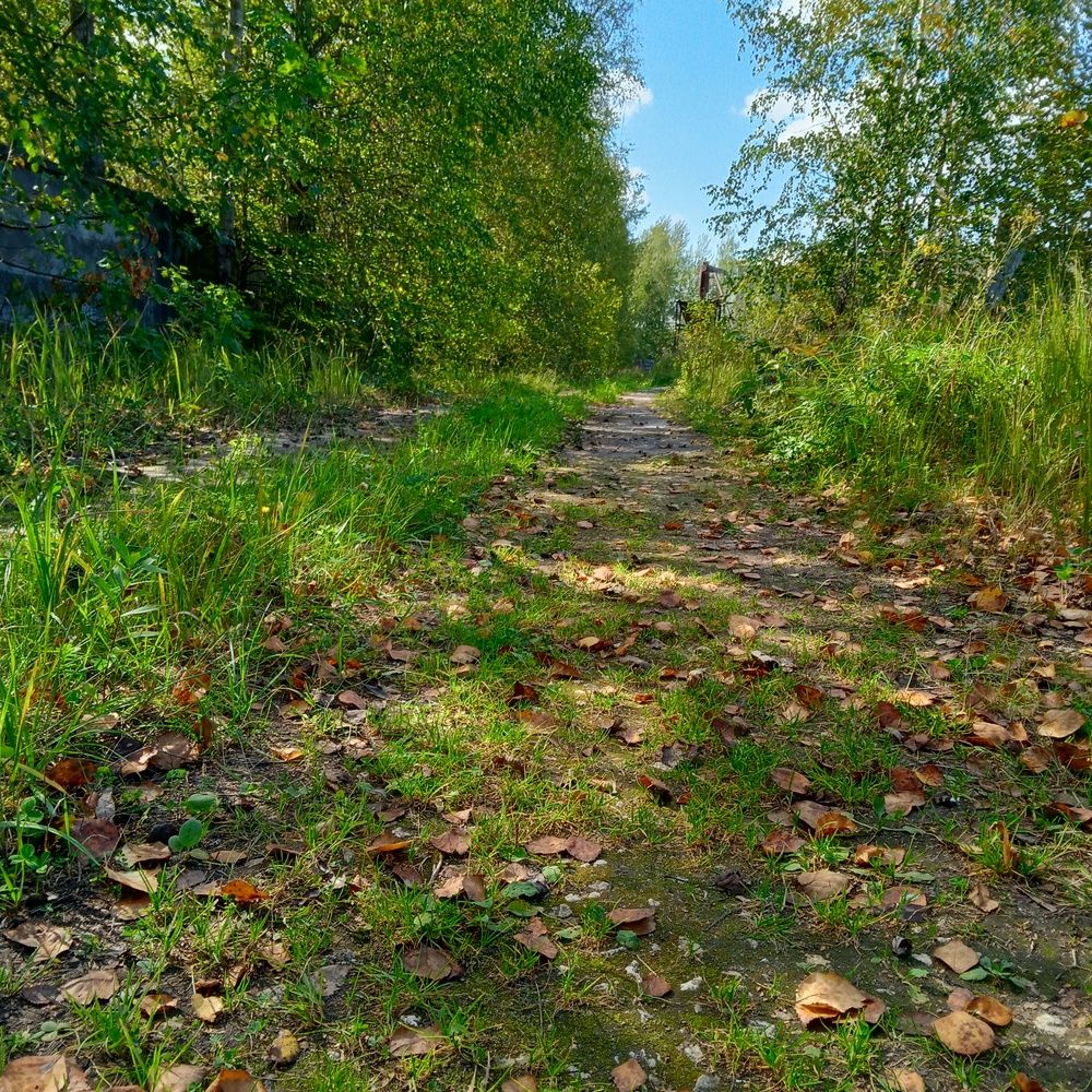 Photograph by Ольга Чайка