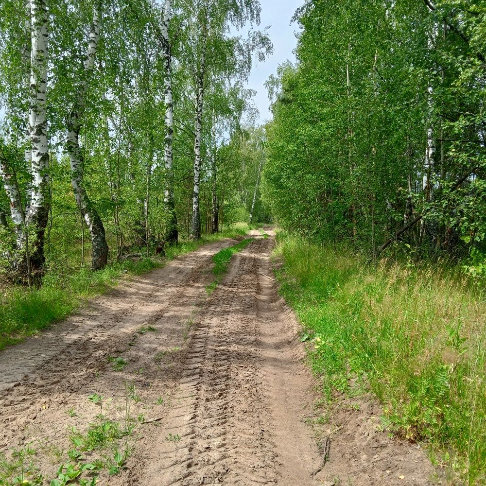 Photograph by Ольга Чайка