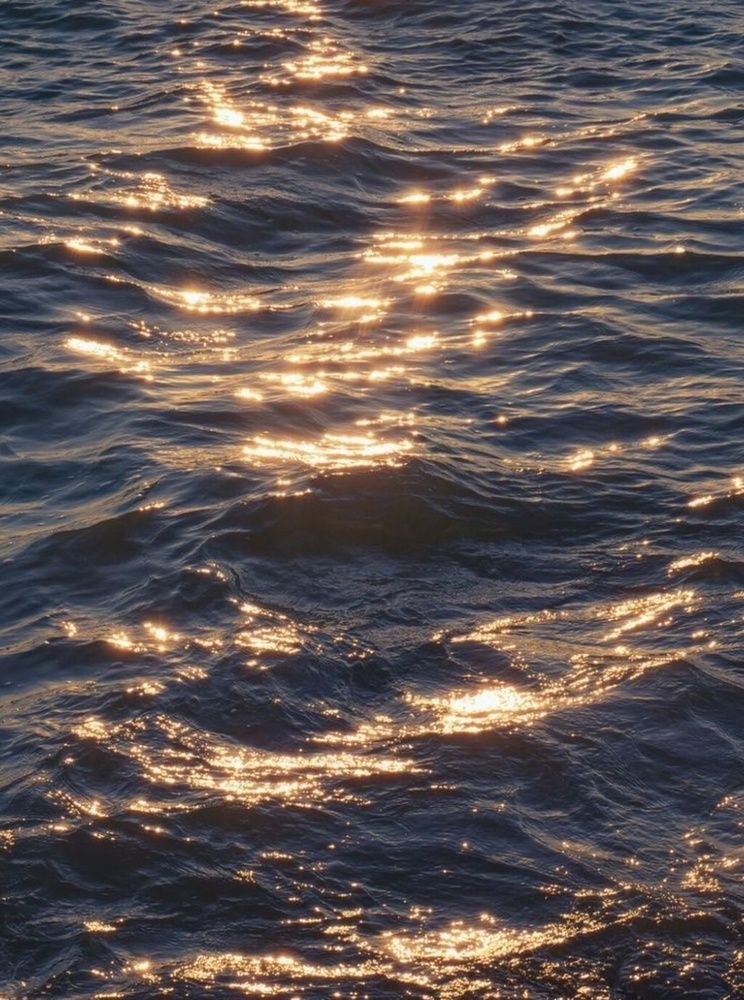 Photograph by Muhammad Yaqoob
