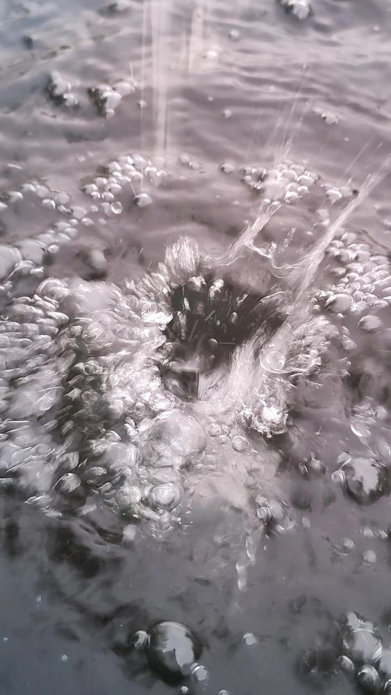 Photograph by Полина Скурская