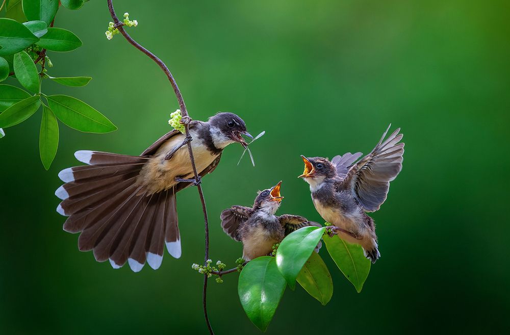 Photograph by ANH LAM LY