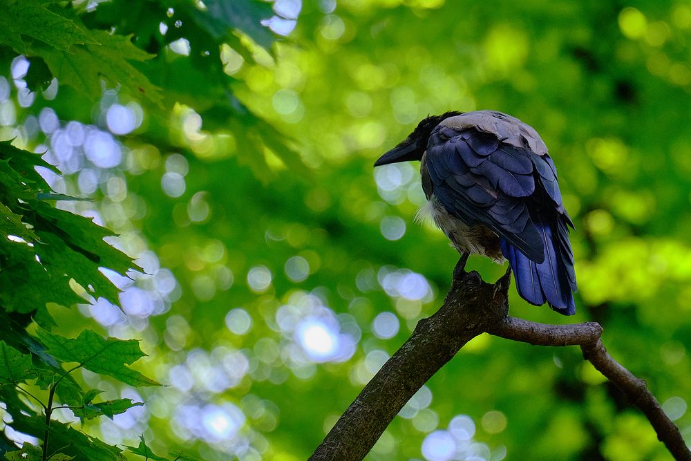 Photograph by VIZO
