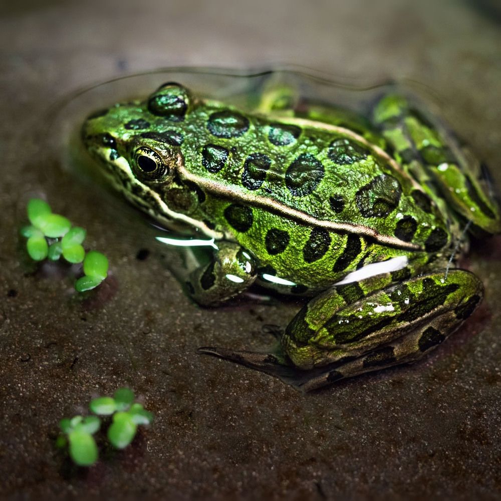 Photograph by Katerina Georgieva