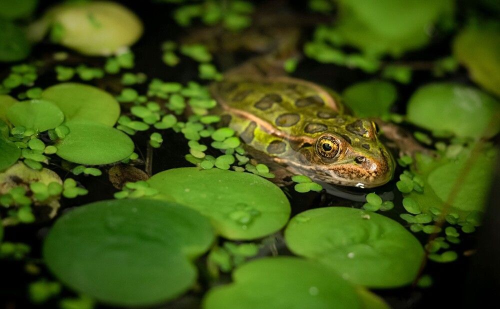 Photograph by Katerina Georgieva