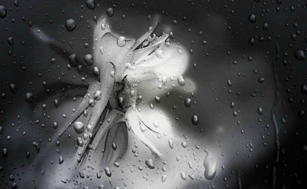Photograph by Katerina Georgieva