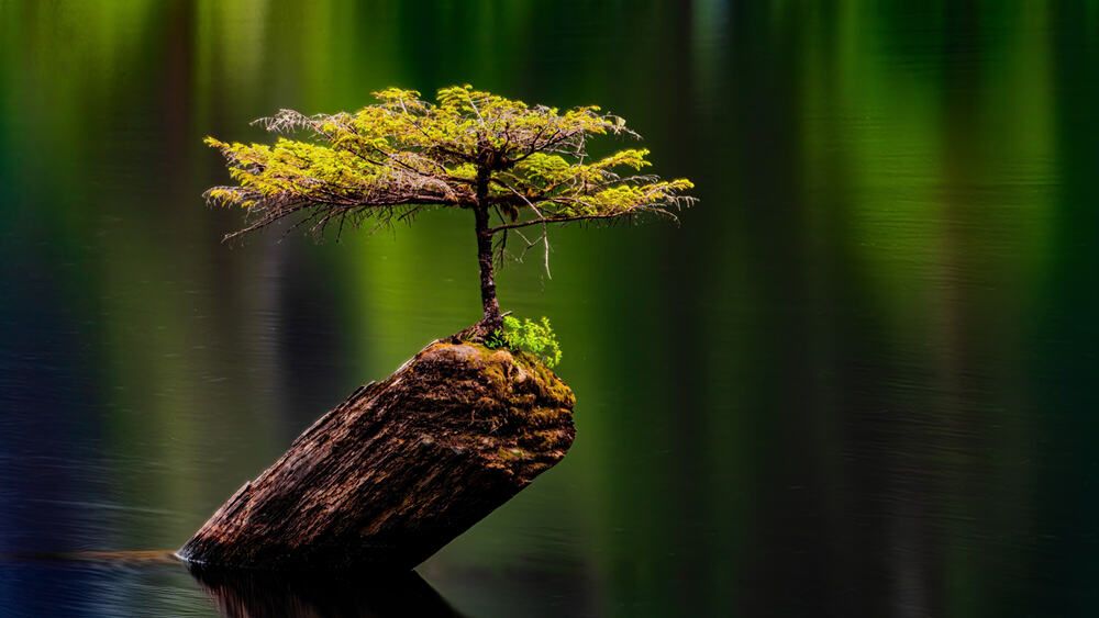 Photograph by ANDREA DUBLASKI