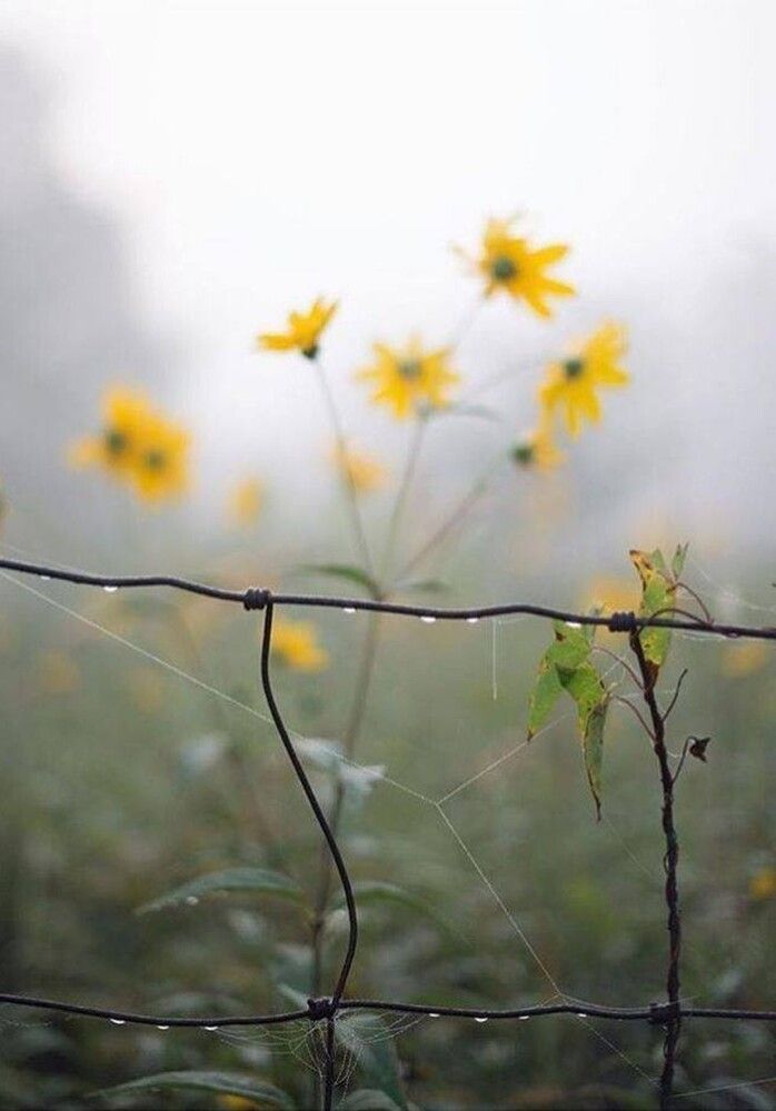 Photograph by Katerina Georgieva