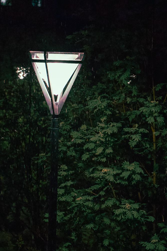 Photograph by Vladimir Bezborodov
