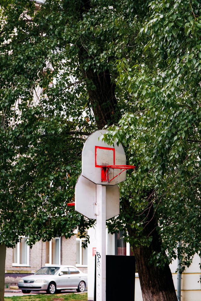 Photograph by Vladimir Bezborodov