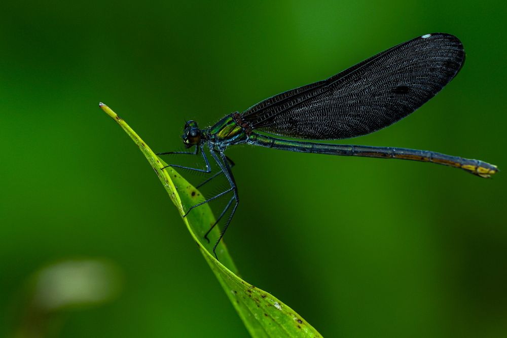 Photograph by Борис Лишневский