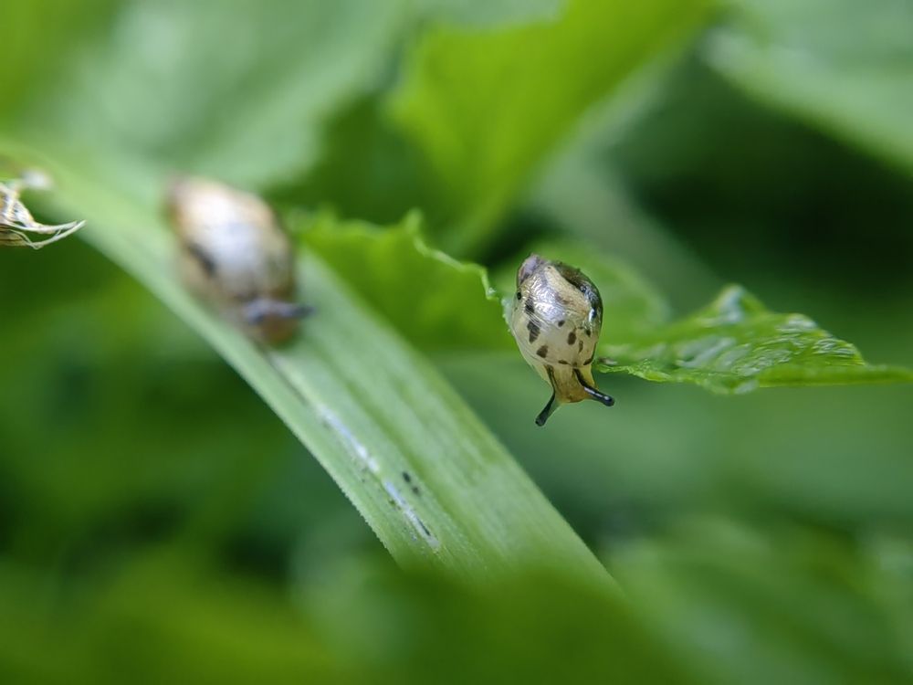 Photograph by Полина Мальцева