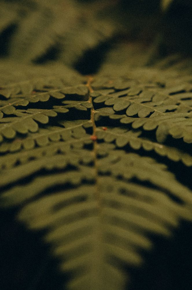 Photograph by Анастасия Заякина