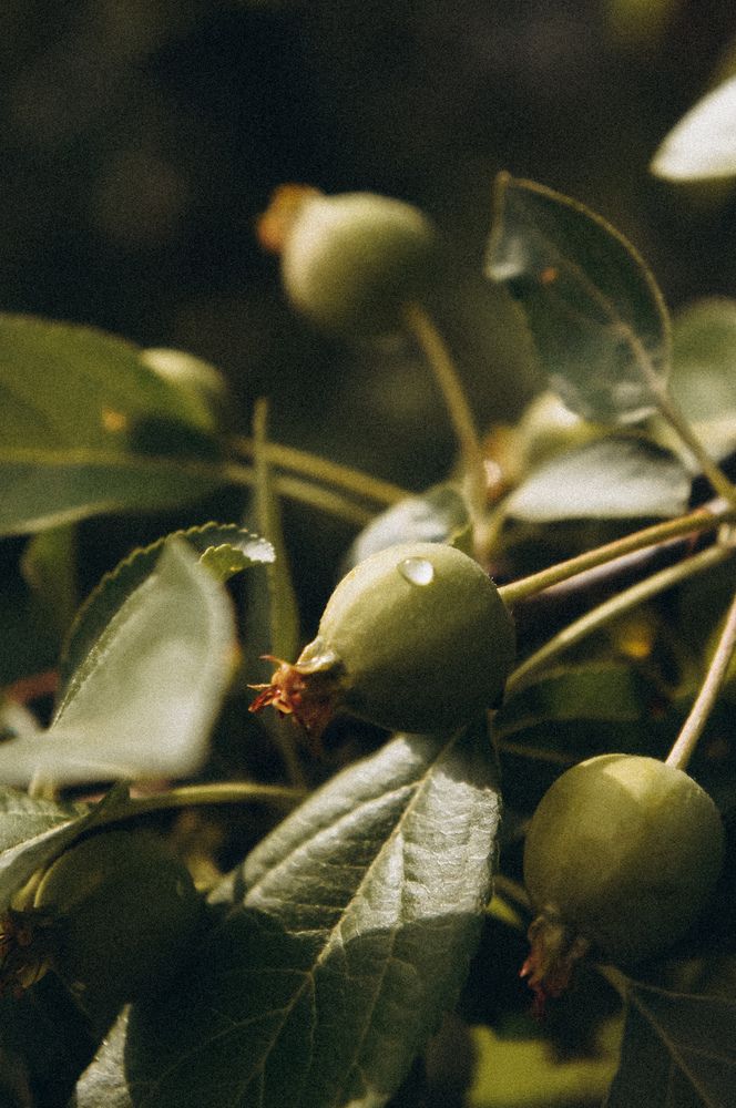 Photograph by Анастасия Заякина