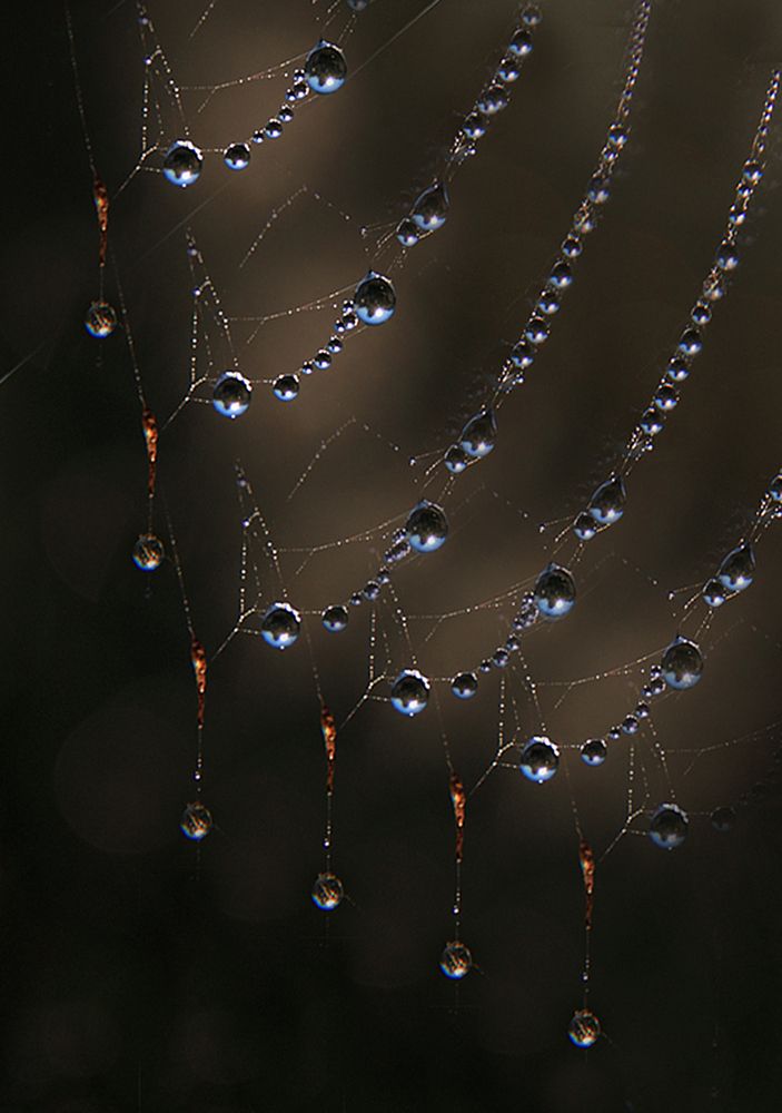 Photograph by Николай Кузьмин