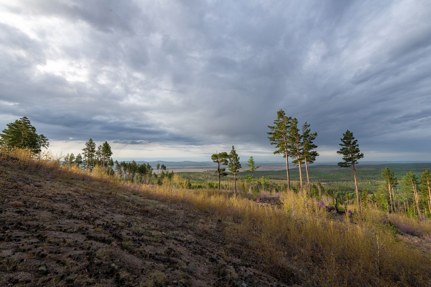 Photo #13611742