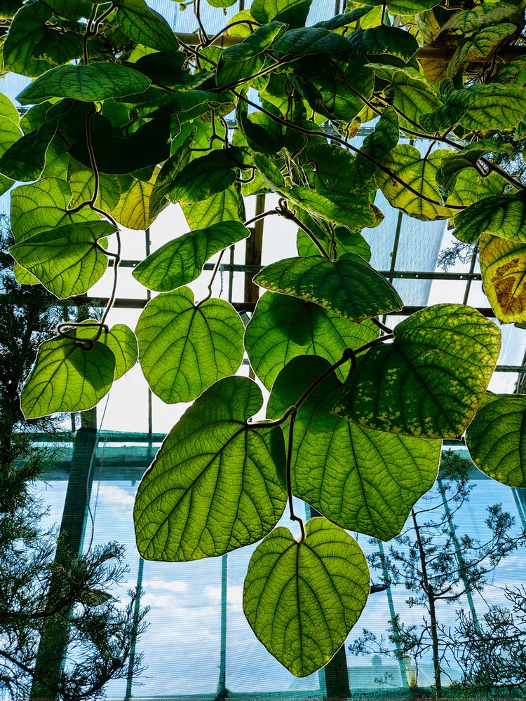 Photograph by Татьяна Бойцова