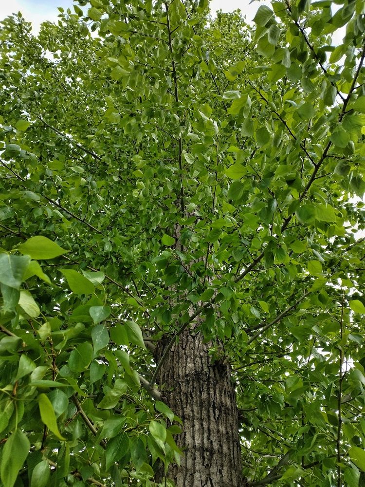 Photograph by Ирина Попелкова