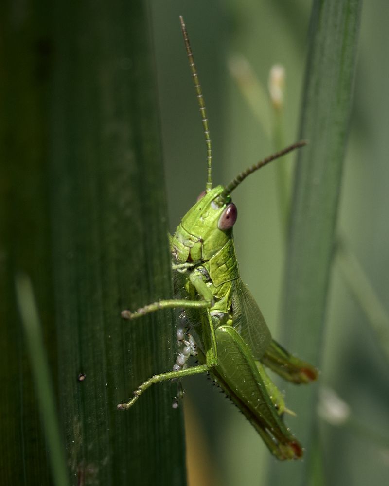 Photograph by Mikhail Khmelevskiy