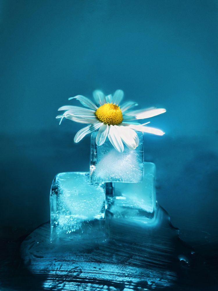 Photograph by Юлия Маркова