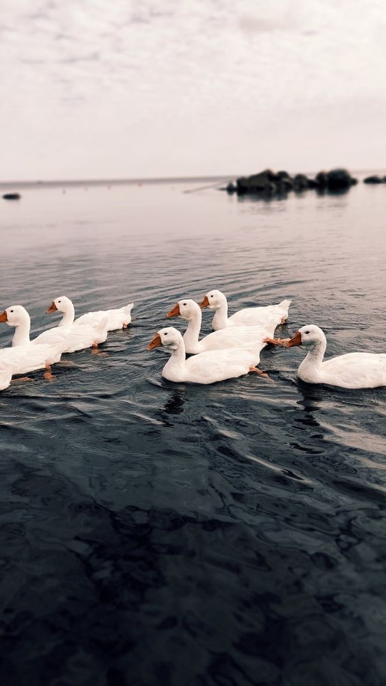 Photograph by Попова Карина
