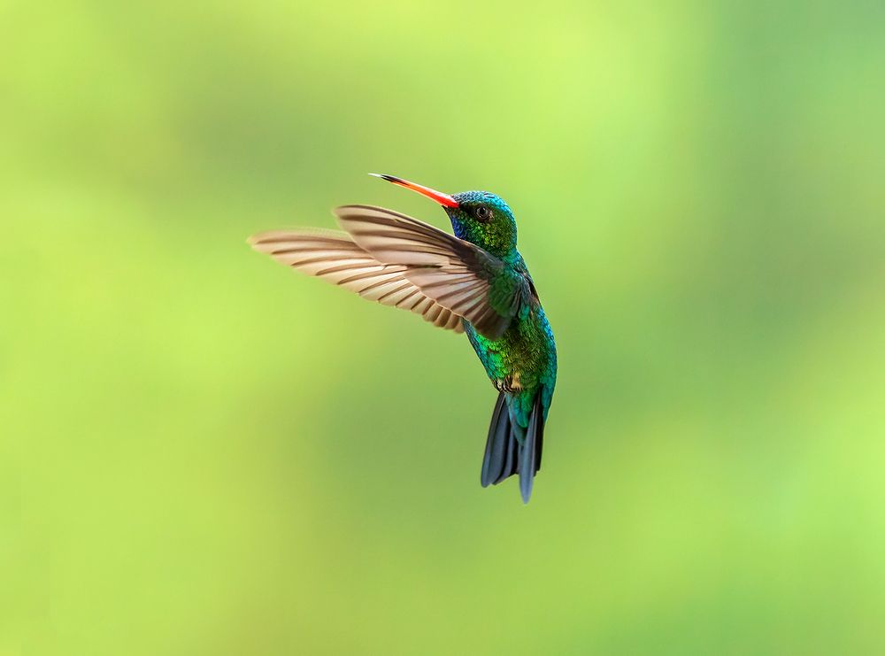 Photograph by Valdir Hobus