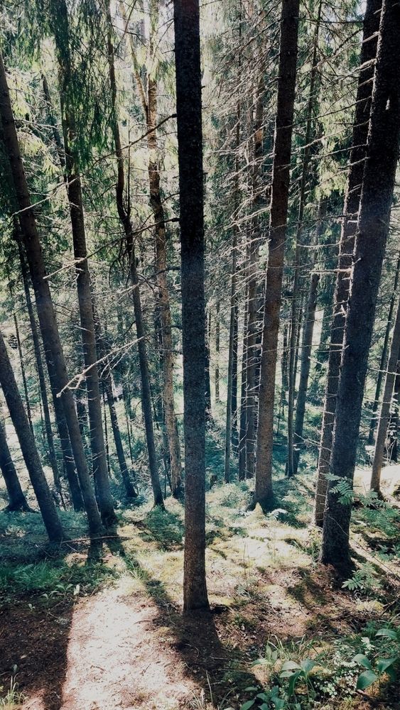 Photograph by Попова Карина
