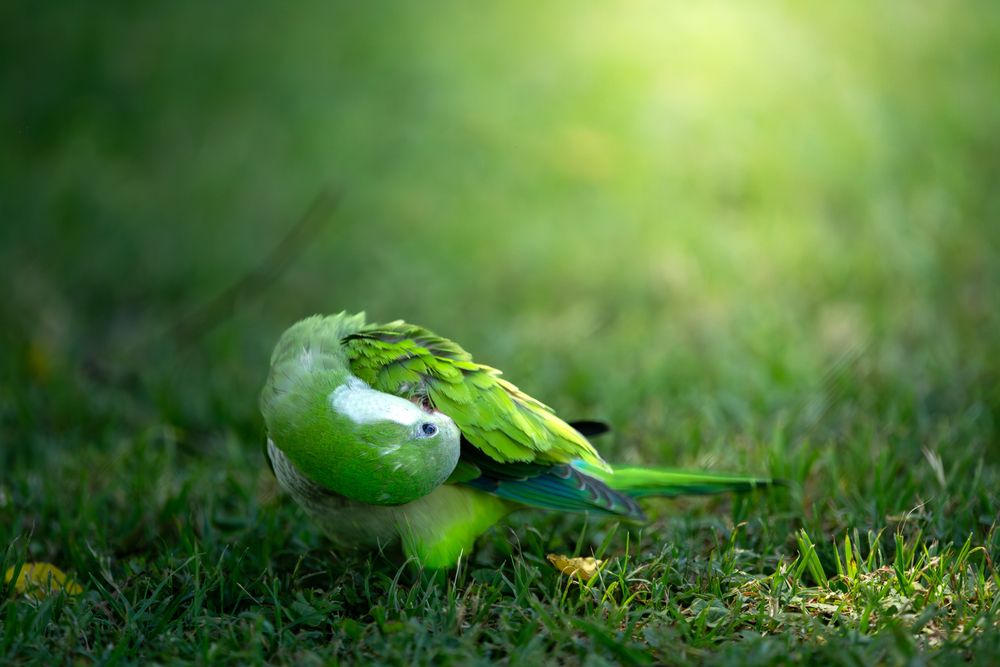 Photograph by Иван Кирсанов