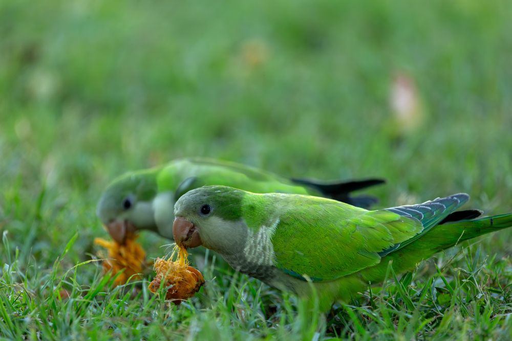 Photograph by Иван Кирсанов