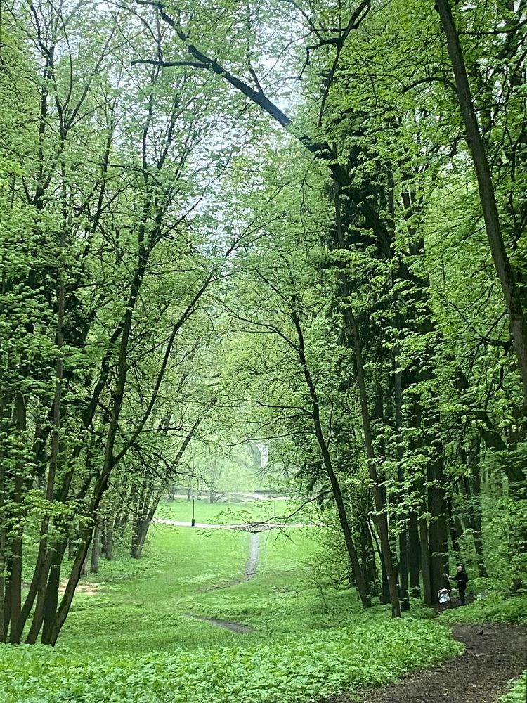 Фотография автора Наталья Мартынова
