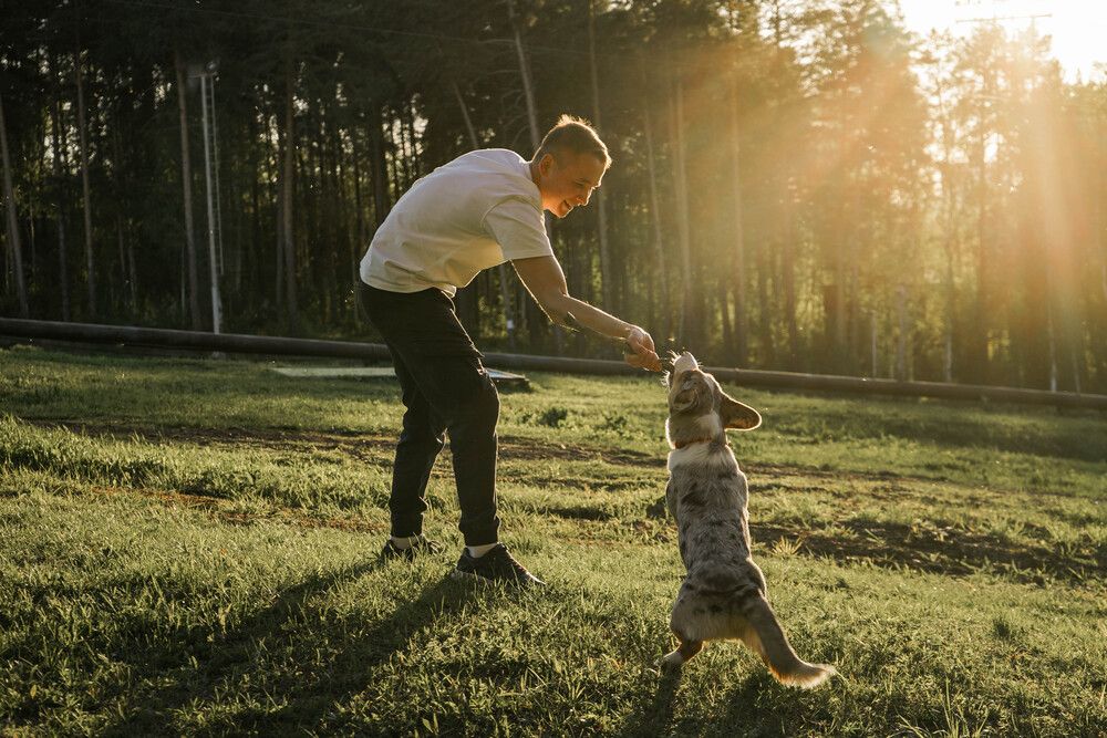 Photograph by Юлия Маркова