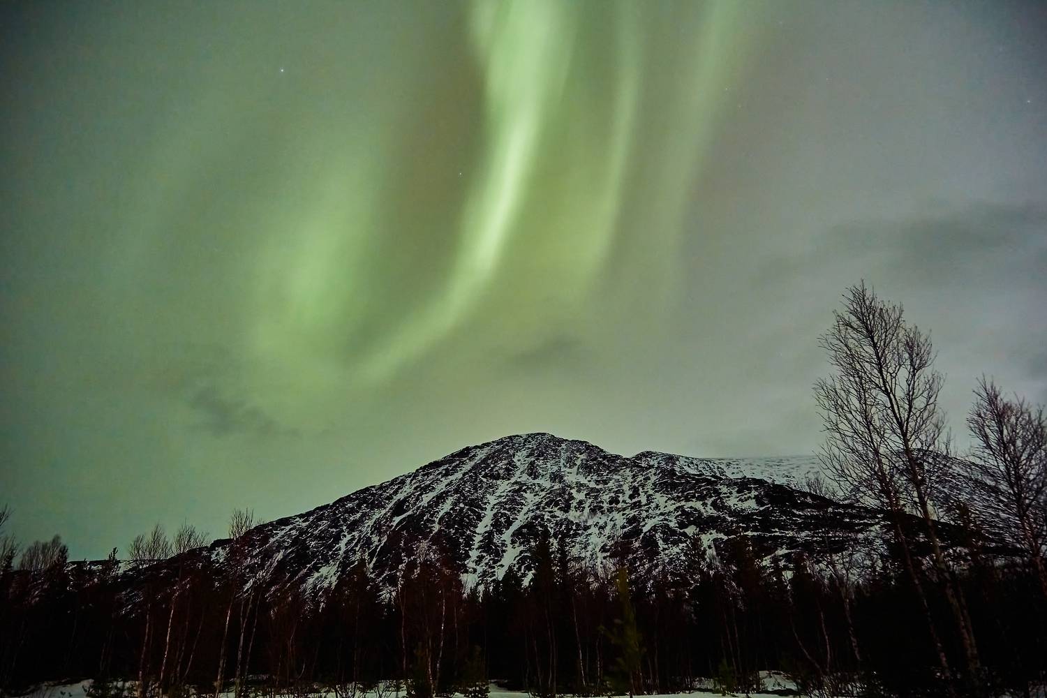 Photo #13612099