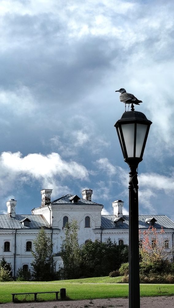Photograph by Попова Карина