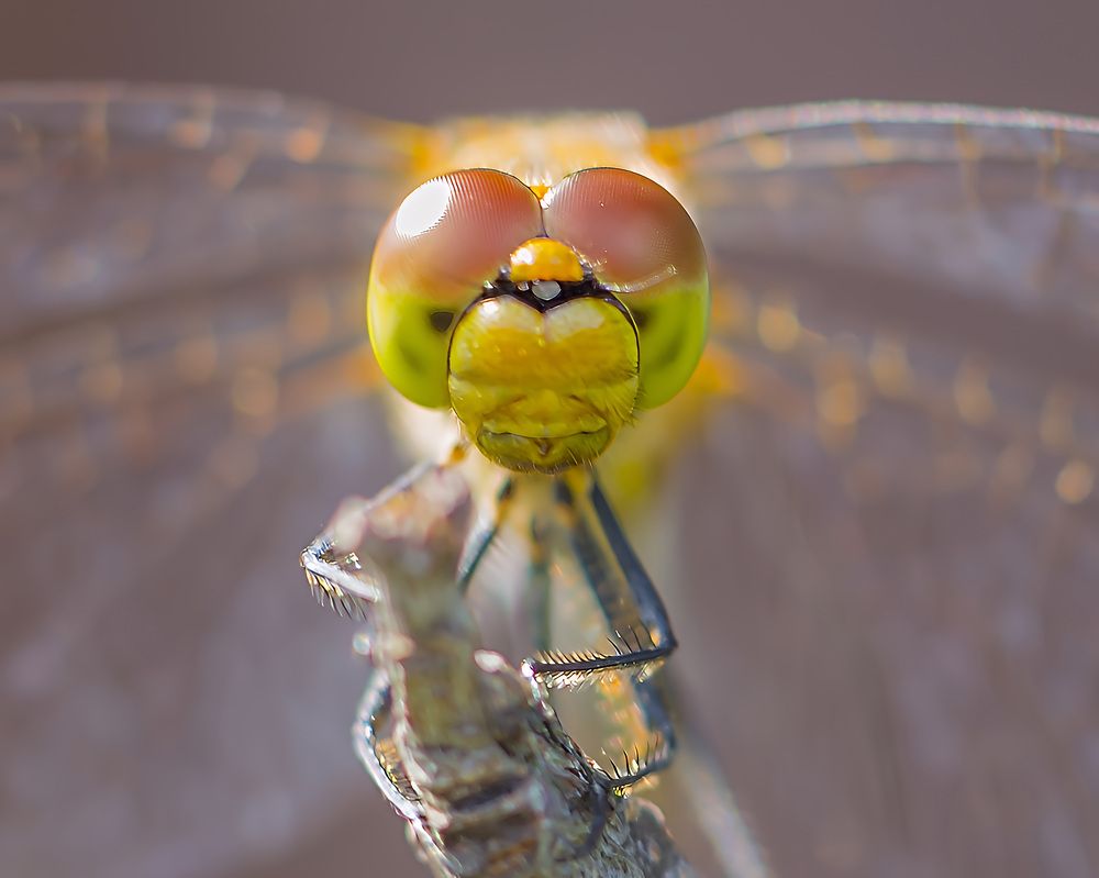 Photograph by Борис Платицин