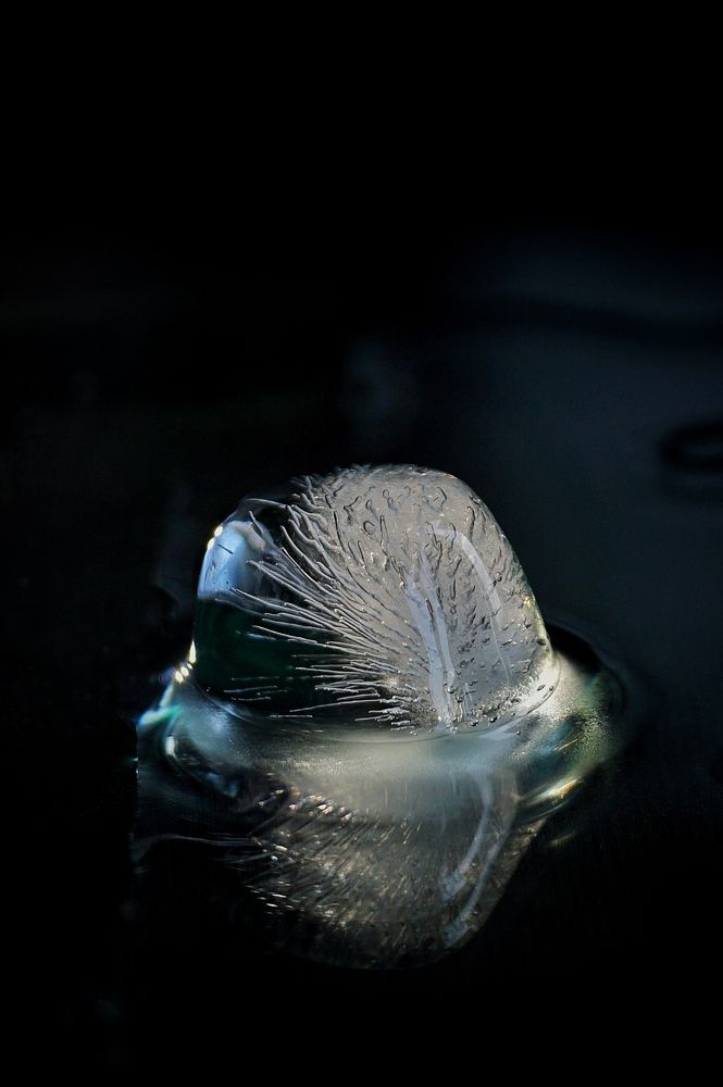 Photograph by Юлия Тимофеева