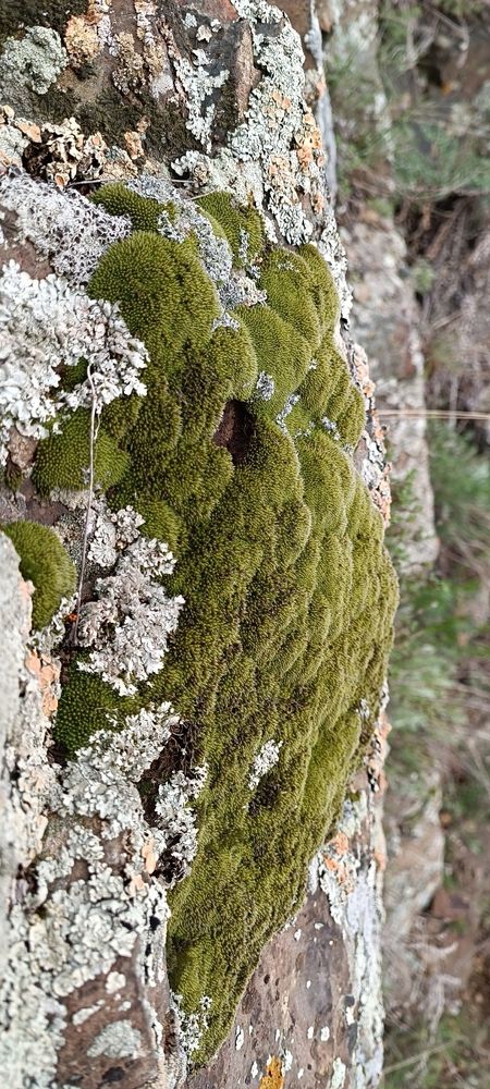 Photograph by Елена Калинина