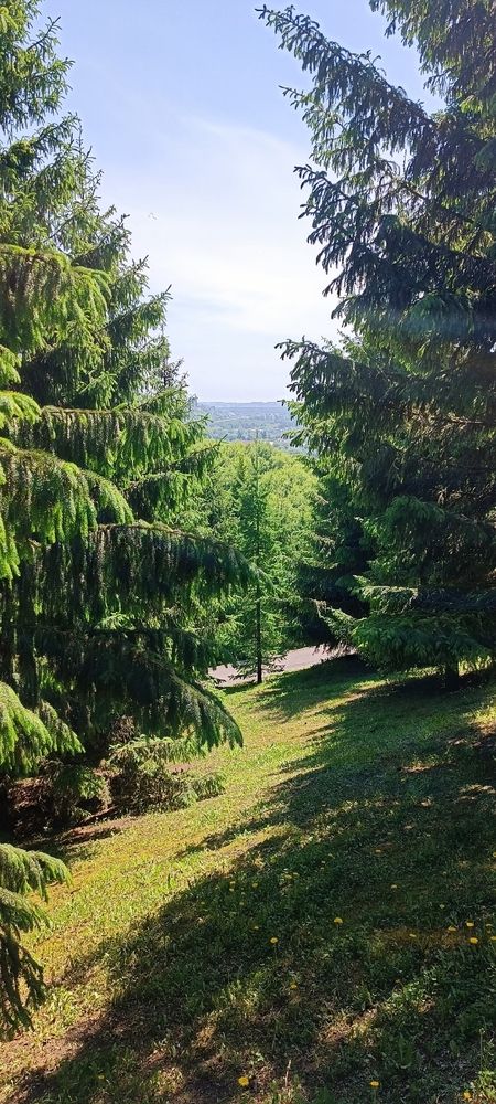 Photograph by Елена Калинина