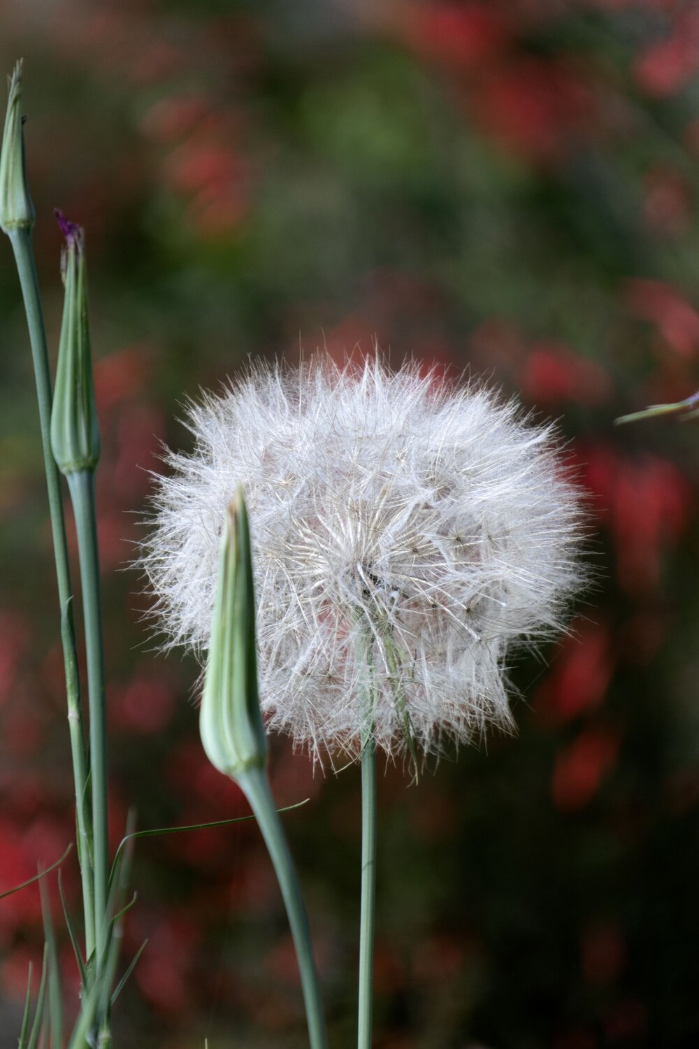 Photo #13612257