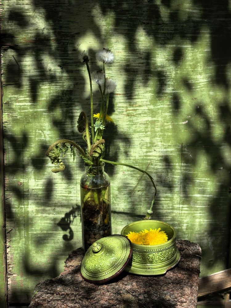 Photograph by Елена Охапкина