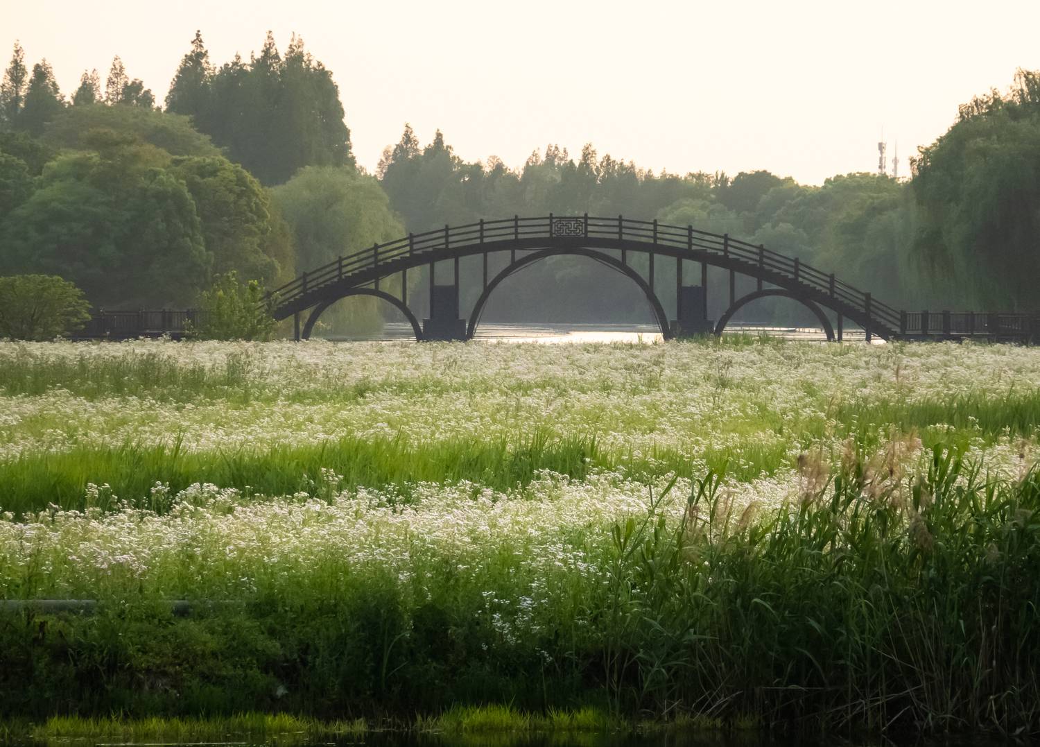 Photo #13612499