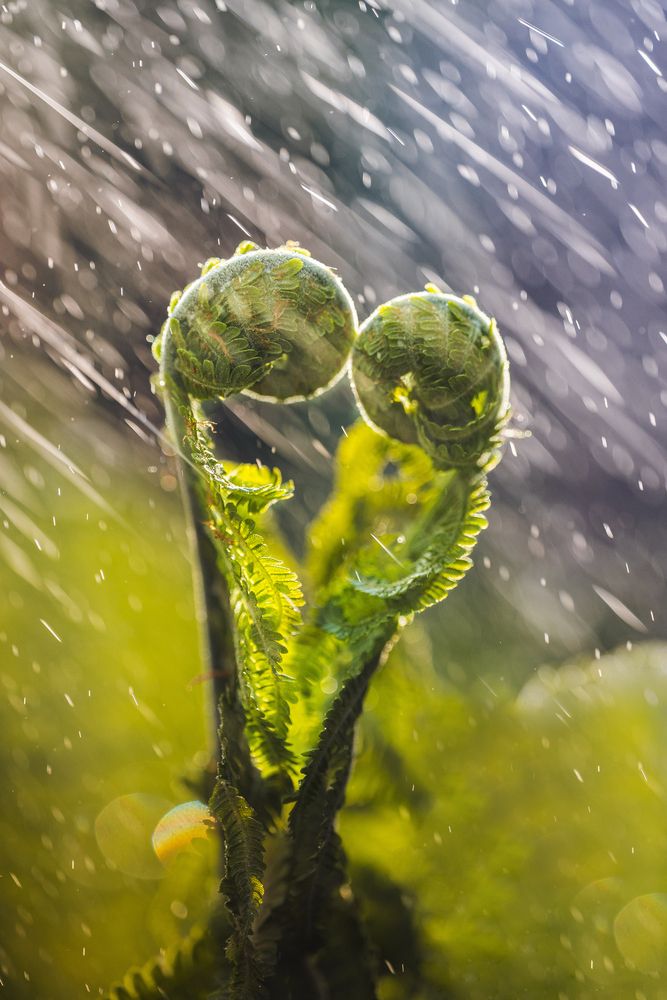Photograph by Николай Захаров