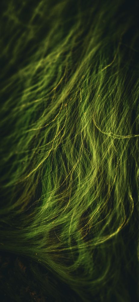 Photograph by Артем Сурганов