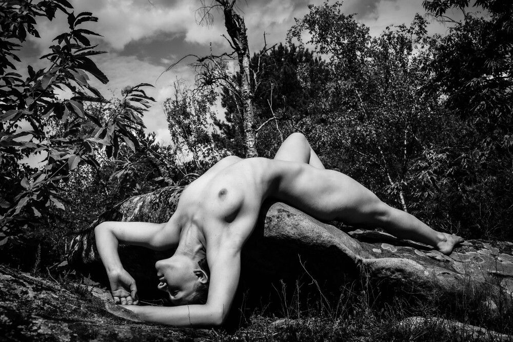 Фотография автора Michel MIALON