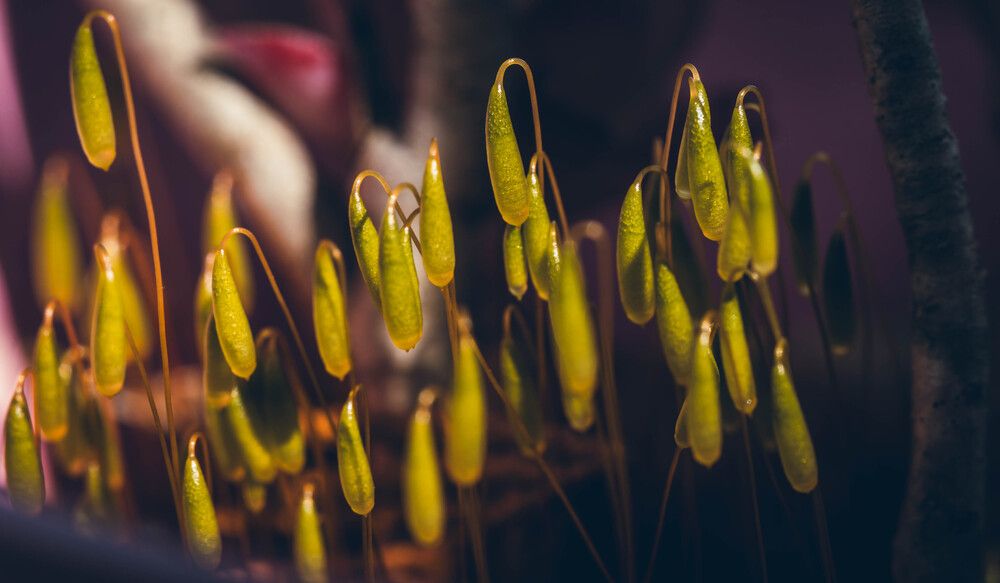 Photograph by maxime FLEURET