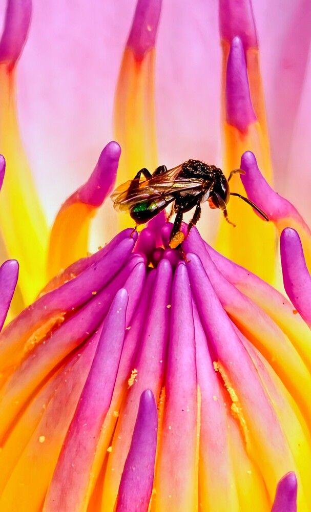 Nature’s finest architecture, alive with motion.