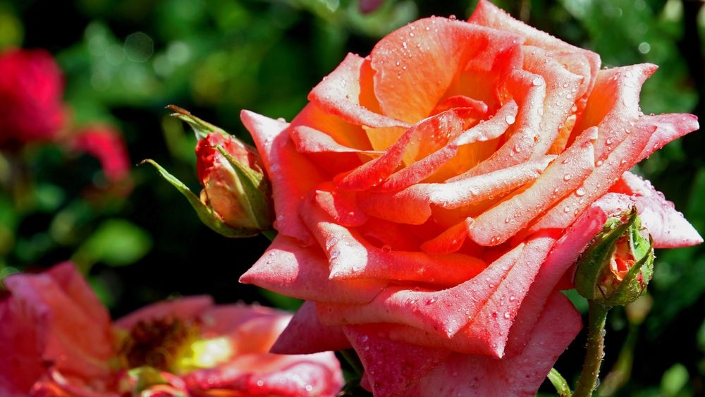 Photograph by Вячеслав
